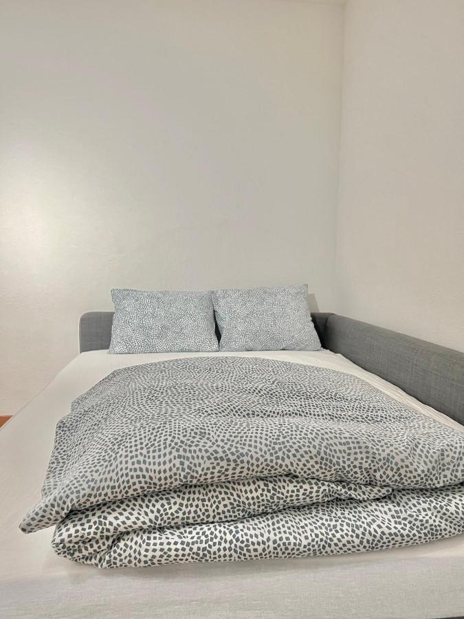 Appartamento Per 4 Persone Rudolfstetten Luaran gambar